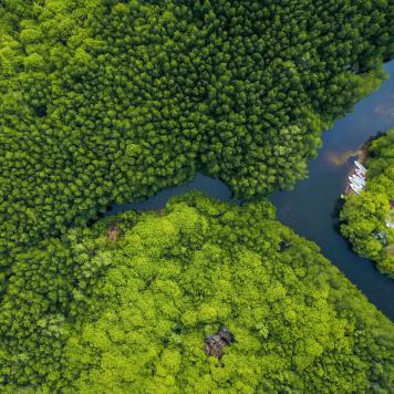 nature-based-solutions