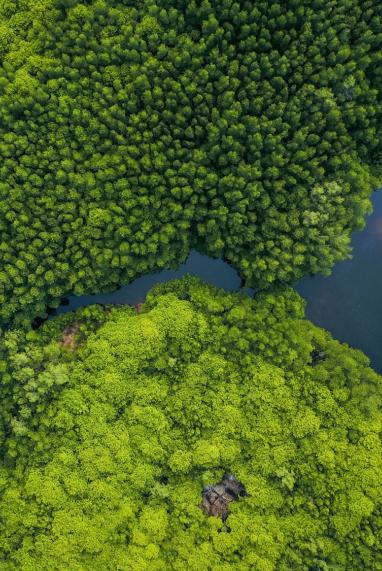 nature-based-solutions