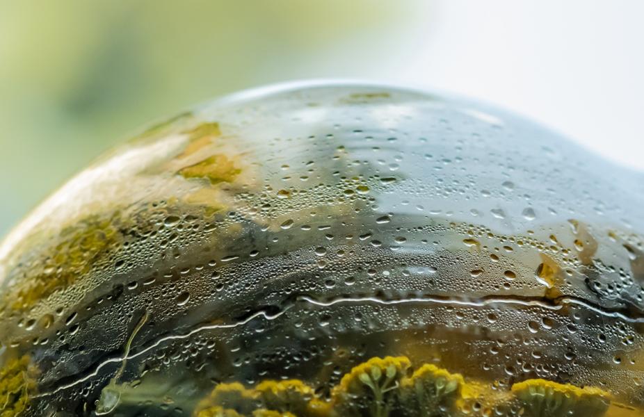 low-carbon-climate-smart-technologies