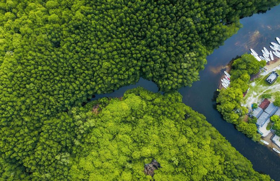nature-based-solutions